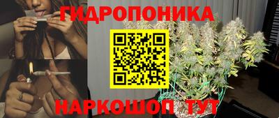 молекула духа Бийск