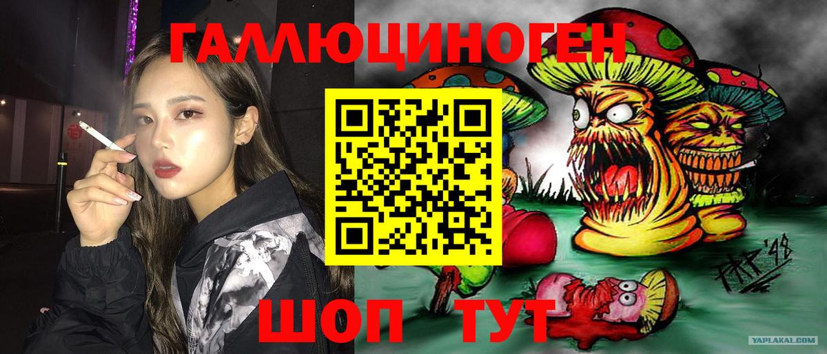Псилоцибиновые грибы Psilocybe  Псилоцибиновые грибы мухоморы  Вход с VPN  Дзержинский 