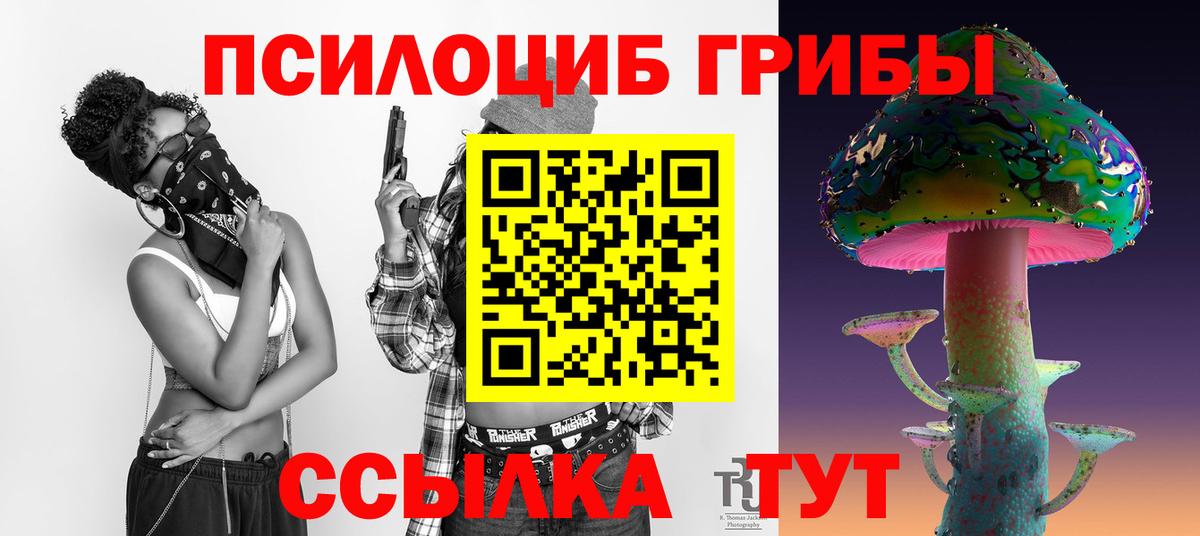 Псилоцибиновые грибы Psilocybe Дзержинский