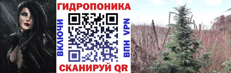Каннабис White Widow Дзержинский